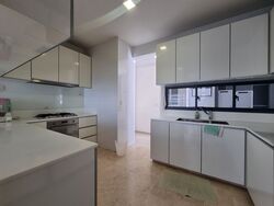 The Trizon (D10), Condominium #593693521